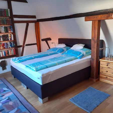 Ferienhaus Pfalzklause Billigheim-Ingenheim Zewnętrze zdjęcie