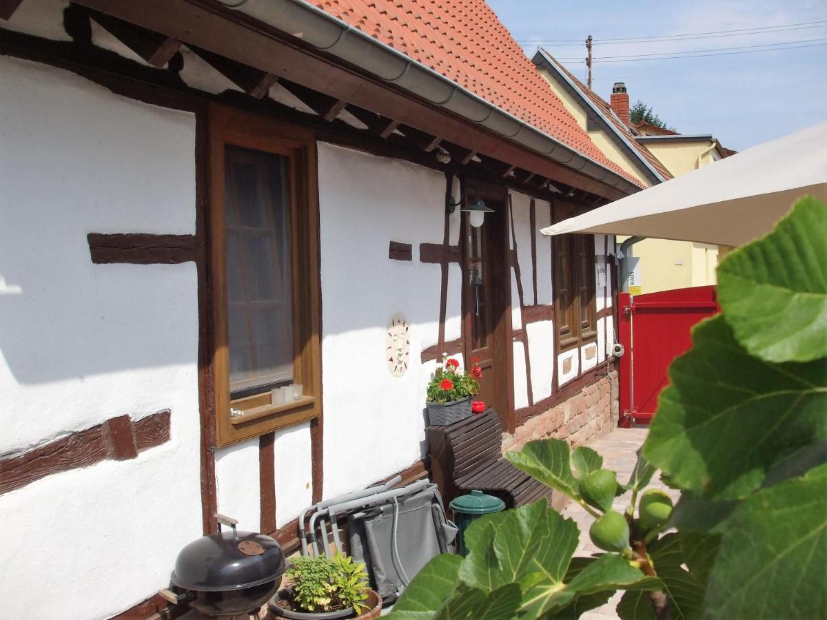 Ferienhaus Pfalzklause Billigheim-Ingenheim Zewnętrze zdjęcie